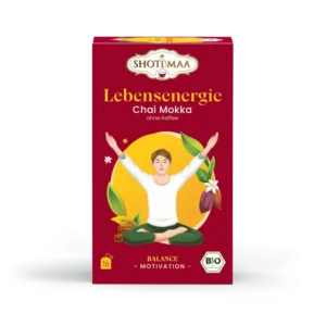 Ceai balance - lebensenergie - chai moka ( fara cafea ) bio 16dz x 2g 32g Shotimaa