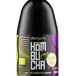 Kombucha cu ghimbir indulcita cu stevia bio 330ml Vita Organic