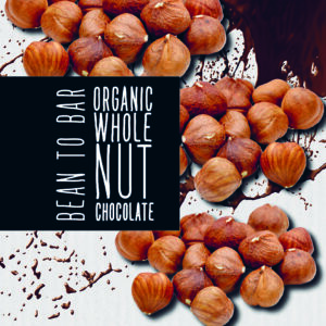 Ciocolata cu lapte si alune de padure bio 100g Meybona