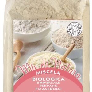 Mix de fainuri fara gluten pentru paine, pizza, deserturi, fara drojdie, bio, 250g Pasta Natura