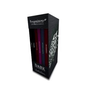Cutie cadou Dark Selection 6x ciocolata negra, bio, 6x 70g, Benjamissimo