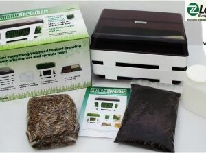 Kit complet pentru iarba de grau si germinare Lexen usa