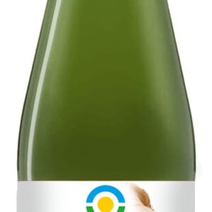 Suc de ghimbir bio 300ml Biofood